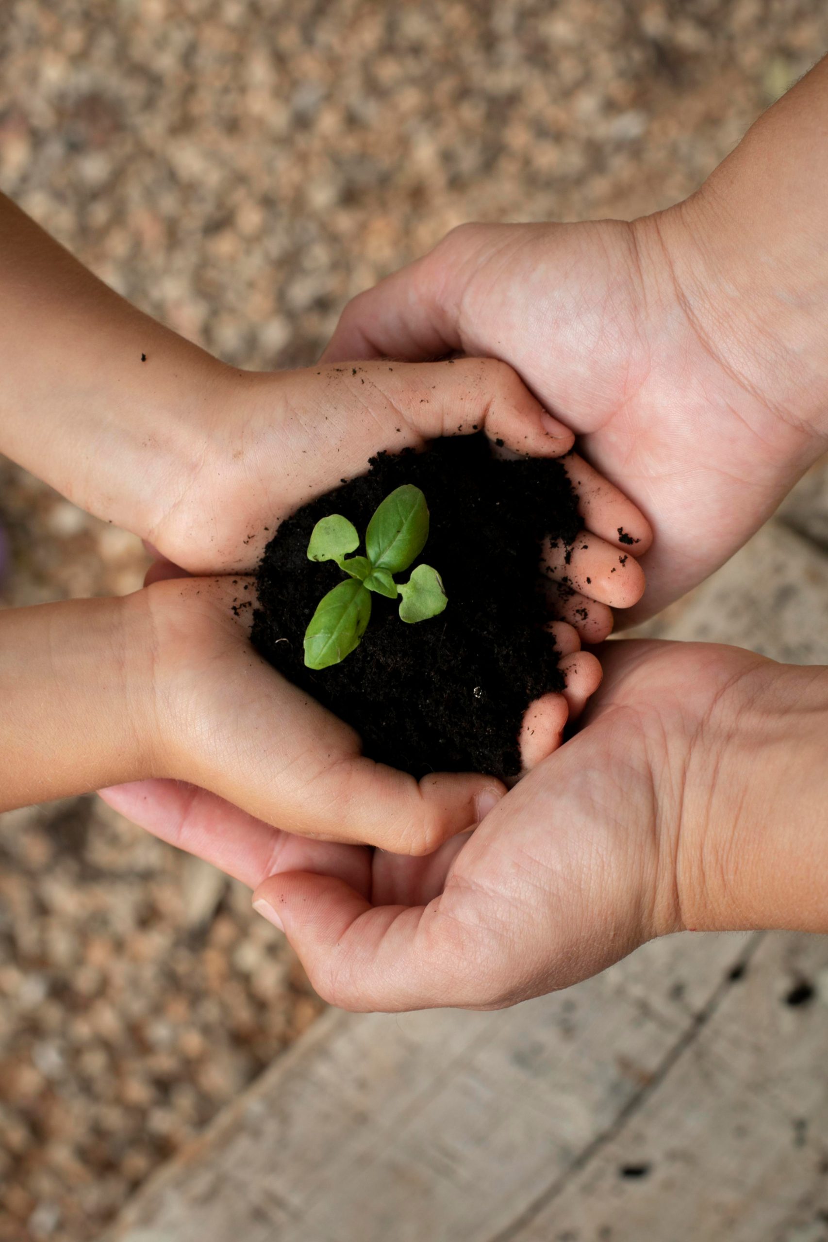compromisos-sect-1 medio ambiente