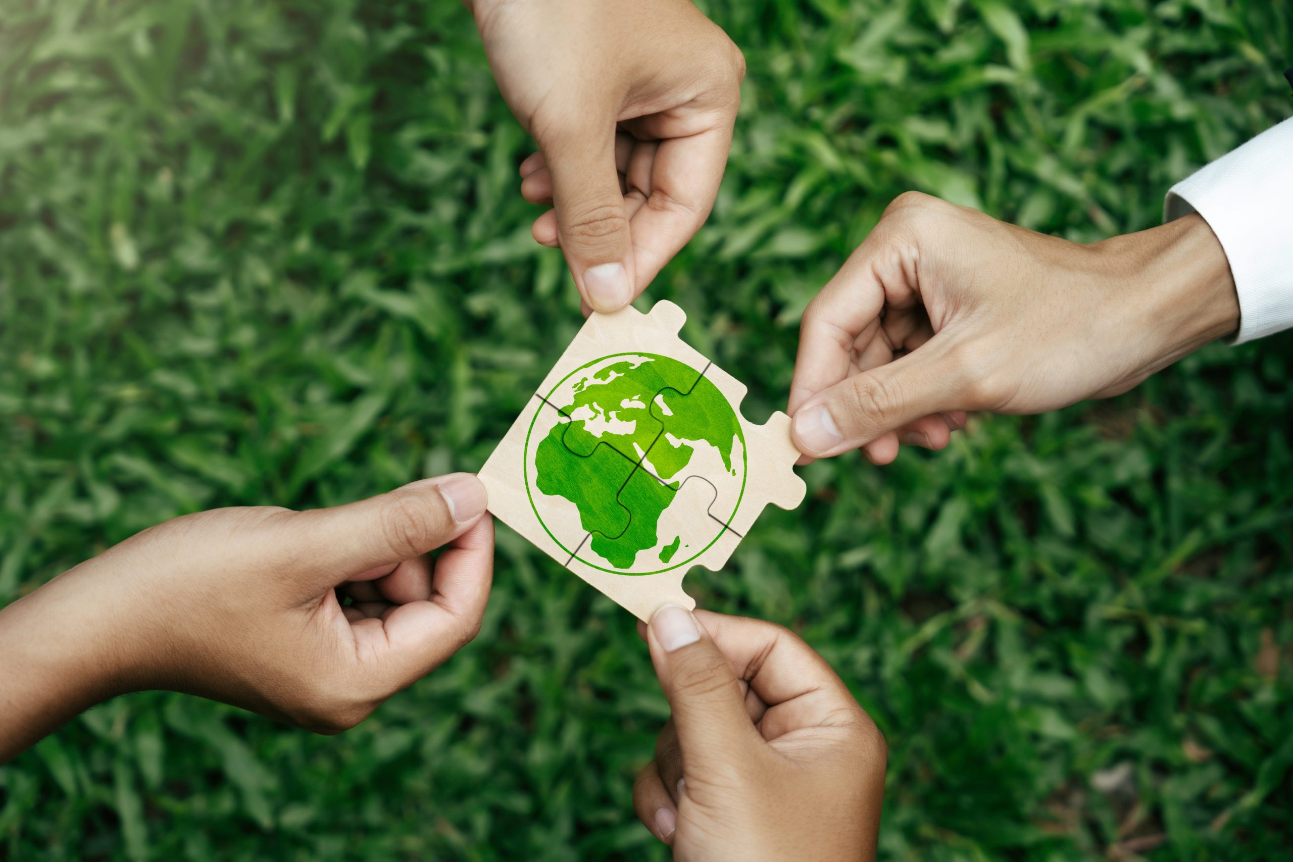 litho-sect-1 sustainability lithio