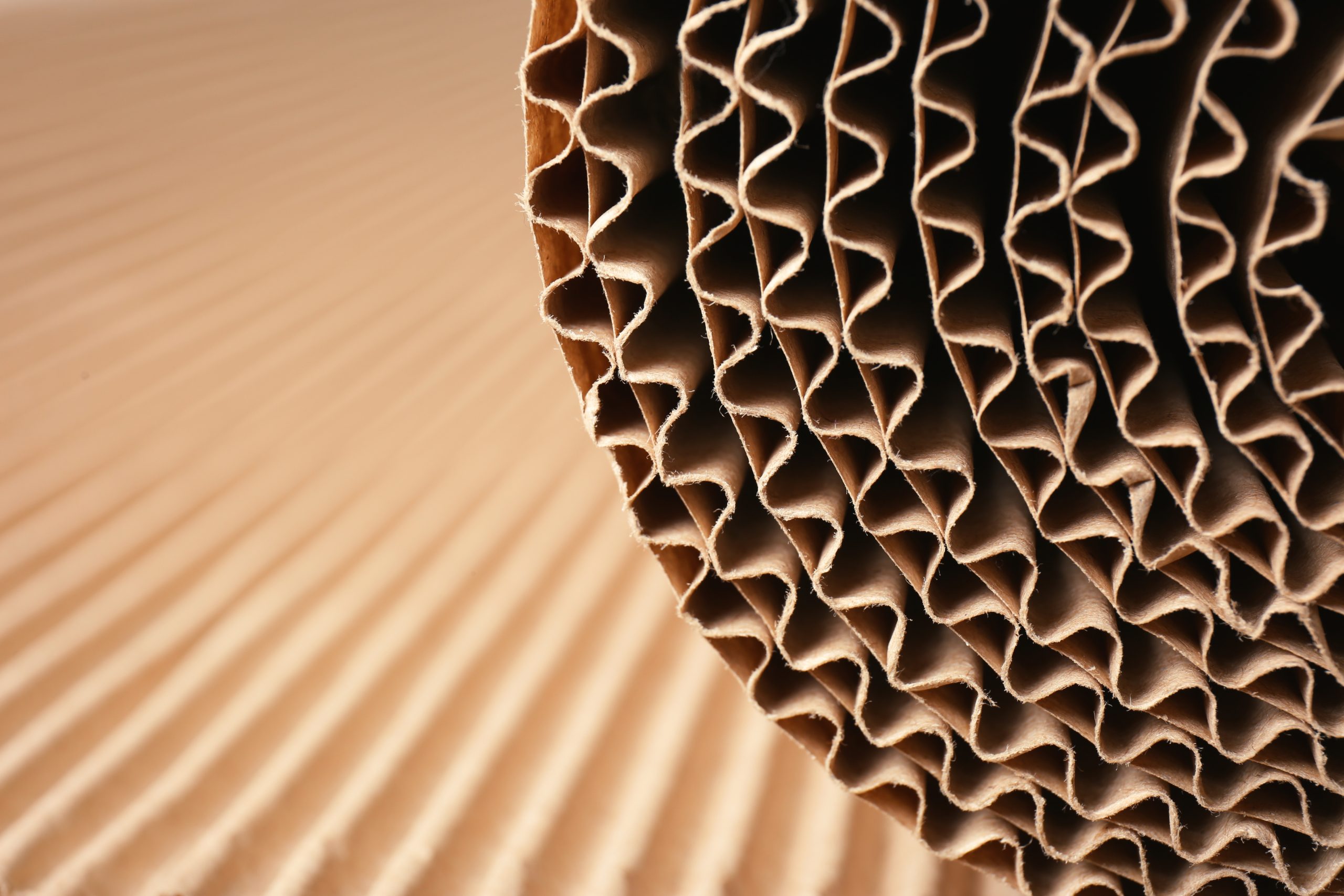 sectors-sect-1 CORRUGATED CARDBOARD