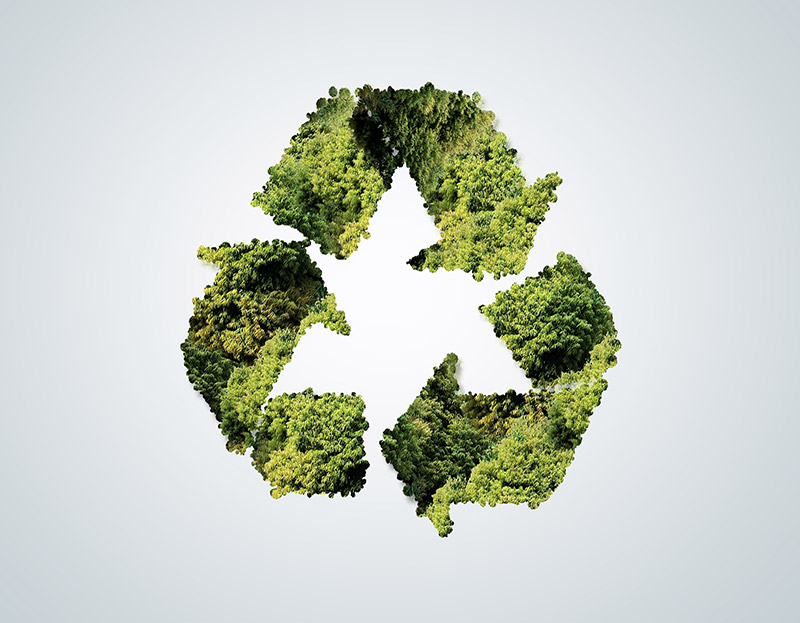 medio-ambiente-2 ecológico